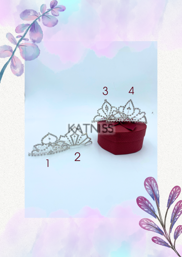 Сребристи корони - 4 различни вида / Silver Crowns