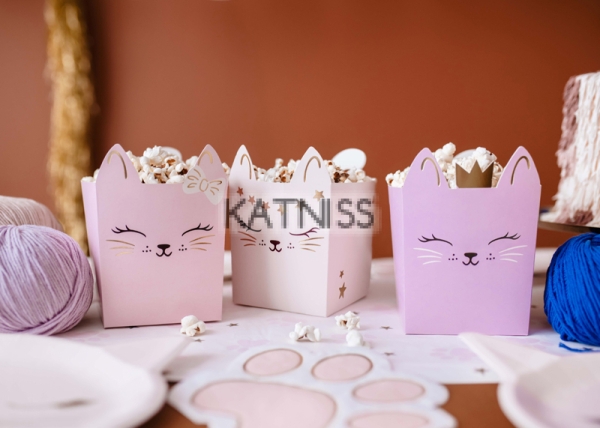 Кутии за снакс - три вида котки