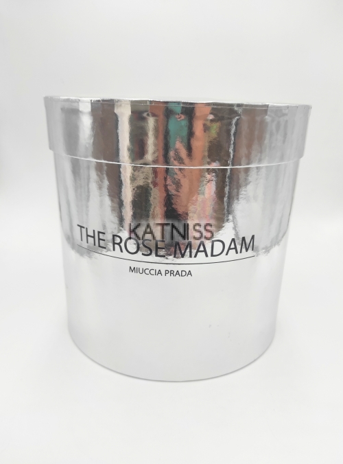 Сребриста подаръчна кутия / Silver present box