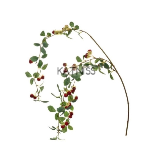 Малинови клончета